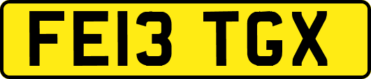 FE13TGX