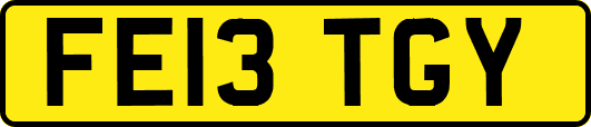 FE13TGY