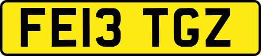 FE13TGZ