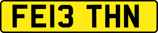 FE13THN