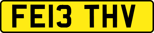FE13THV