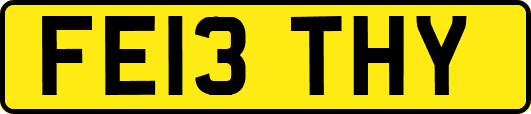FE13THY