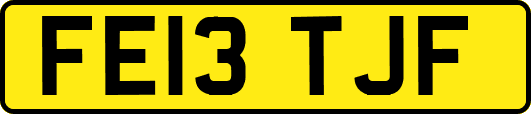 FE13TJF