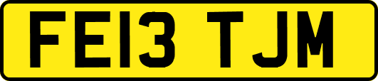 FE13TJM
