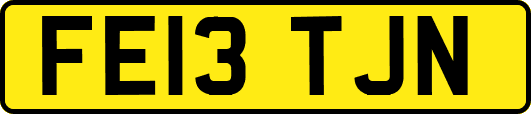 FE13TJN