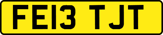 FE13TJT