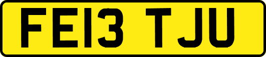 FE13TJU