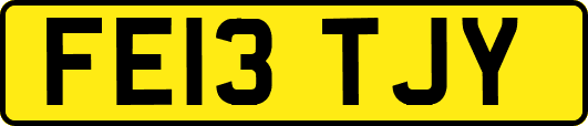 FE13TJY