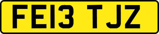 FE13TJZ
