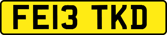 FE13TKD
