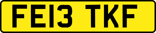 FE13TKF