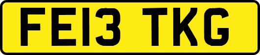 FE13TKG