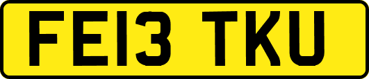 FE13TKU