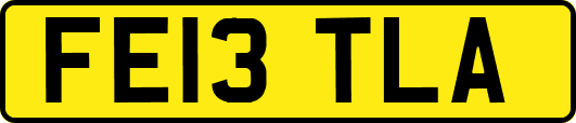 FE13TLA