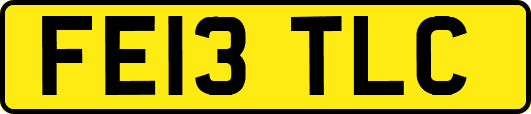 FE13TLC