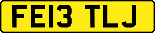FE13TLJ