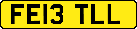 FE13TLL