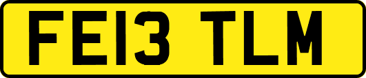 FE13TLM