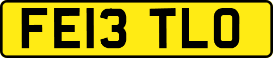 FE13TLO