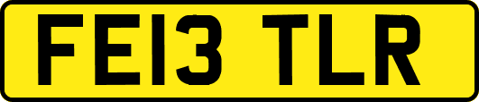 FE13TLR
