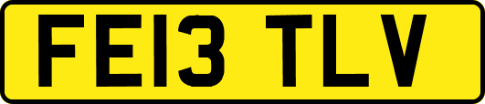 FE13TLV
