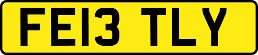 FE13TLY