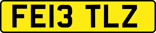 FE13TLZ