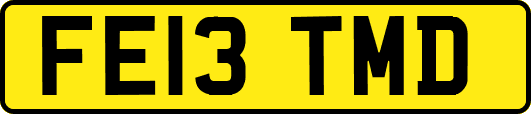 FE13TMD