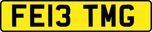 FE13TMG