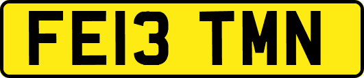 FE13TMN