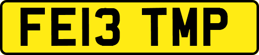 FE13TMP