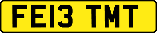 FE13TMT