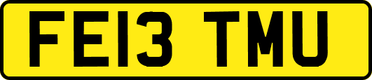 FE13TMU