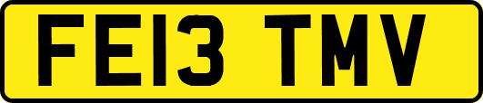 FE13TMV