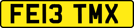 FE13TMX