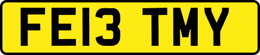 FE13TMY