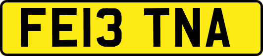 FE13TNA
