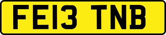 FE13TNB