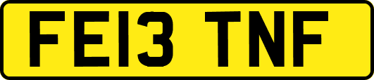 FE13TNF