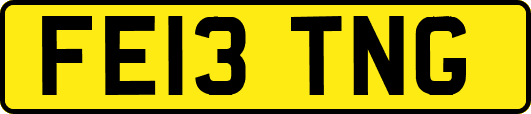 FE13TNG