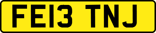 FE13TNJ