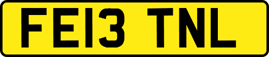 FE13TNL