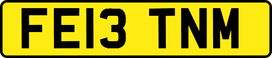 FE13TNM