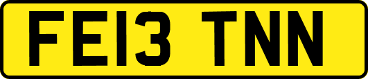 FE13TNN
