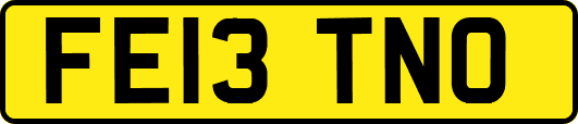 FE13TNO