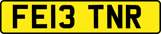 FE13TNR