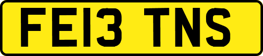 FE13TNS