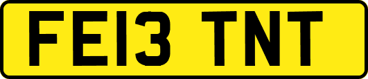 FE13TNT