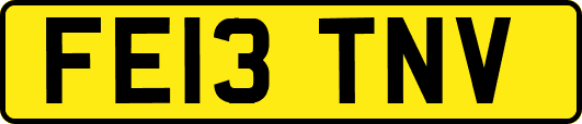FE13TNV