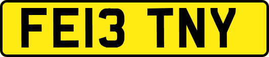 FE13TNY